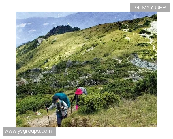 攀岩新手必读：团队协作技巧与实用建议全攻略