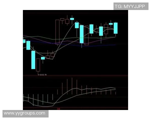 武汉排球队防守策略解析与战术演变探讨 武汉排球队防守策略解析与战术演变探讨