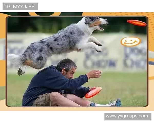 科学飞盘训练新方法探索提升节奏感与协调性的全面指南