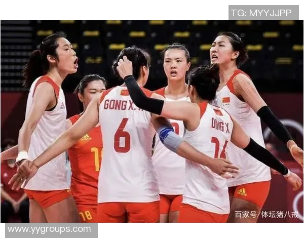 上海排球队再创辉煌最新排球速度TOP10揭晓引发热议