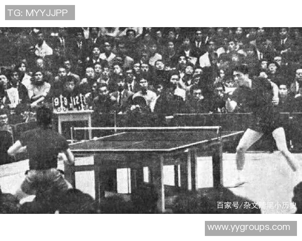 周静独家分享乒乓球技巧与心得助你提升球技的秘诀与经验