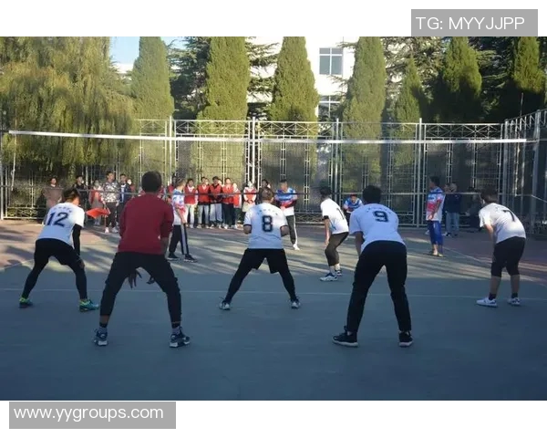 排球节奏排行榜揭晓北京排球队荣获第四名佳绩