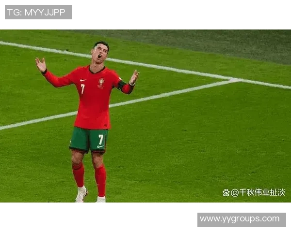 葡萄牙队与新西兰激情对决谁能在这场较量中胜出