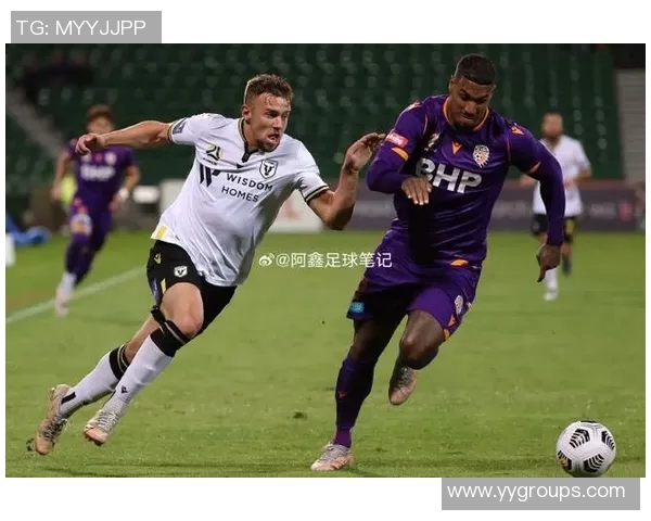 墨尔本胜利与惠灵顿凤凰对决分析及胜负推荐解析