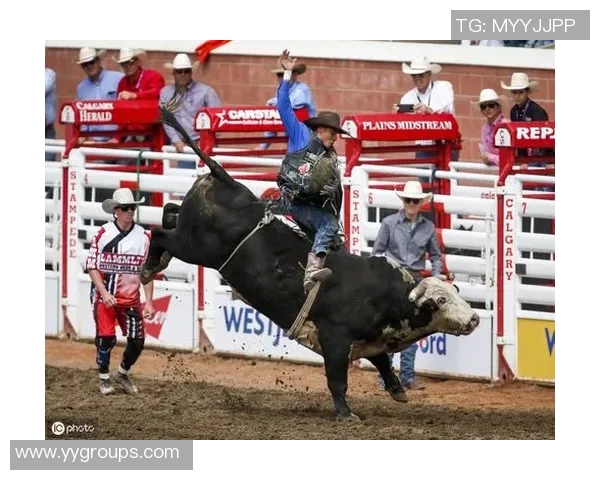 2019年公牛与骑士对决全面分析与赛果预测 2019年公牛与骑士对决全面分析与赛果预测