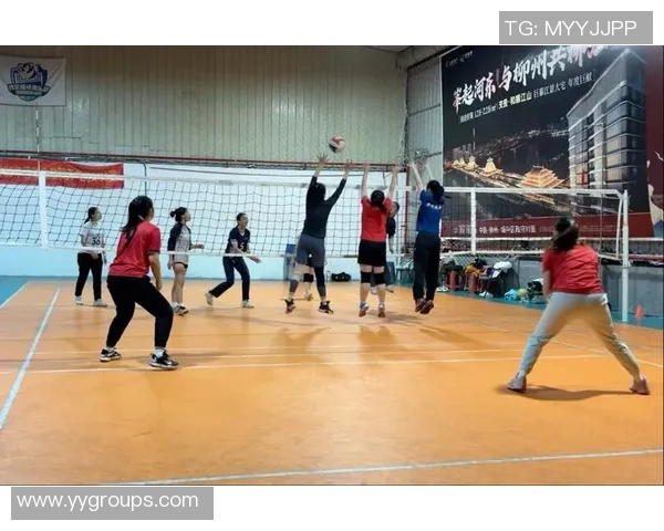 广州排球队的速度之谜：揭开排球巨献的秘密与魅力