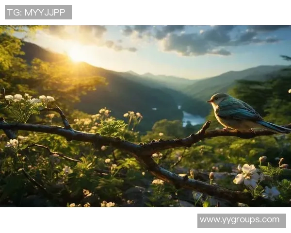 鸟栖沙岩与札的奇妙对比探讨自然与人文的交融之美